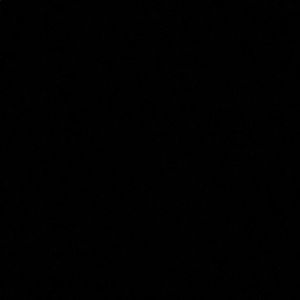 Meet your Posher, Shelly